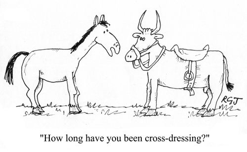 'How long have you been cross-dressing?'