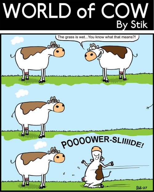 Cow noticing the grass is wet. So he wanders off and performs a fabulous powerslide!