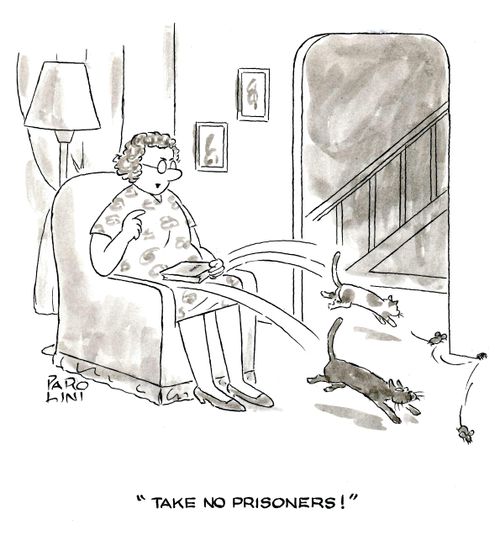 'Take no prisoners!'
