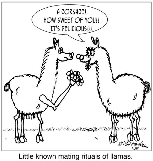  'A corsage! How sweet of you!! It's delicious!!! ' 