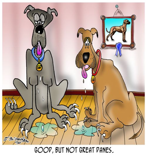 Good, but not Great Danes.