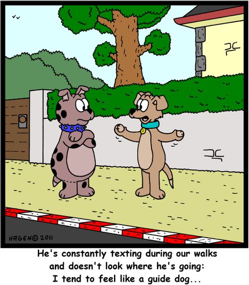 'He's constantly texting during our walks and doesn't look where he's going: I tend to feel like a guide dog...'
