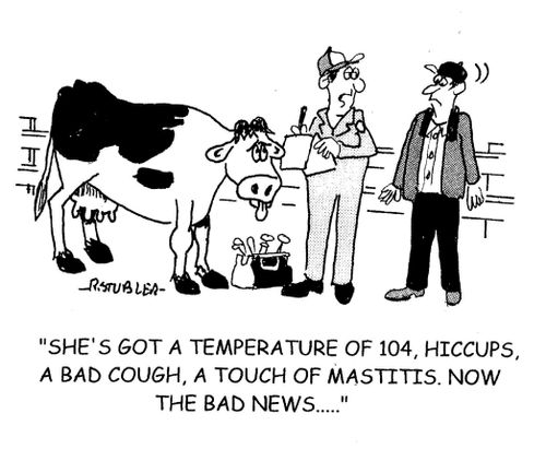 'She's got a temperature of 104, hiccups, a bad cough, a touch of mastitis. Now the bad news. . .'