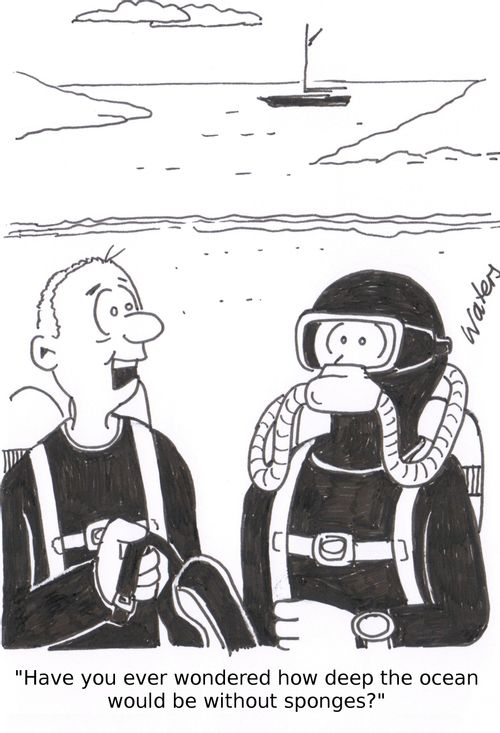'Have you ever wondered how deep the ocean would be without sponges?'
