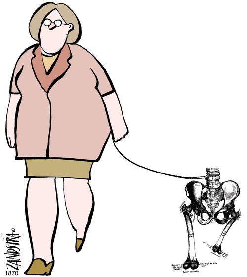 Woman walking a pelvis on a lead.