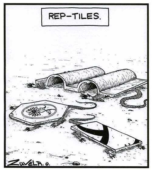 Rep-Tiles.