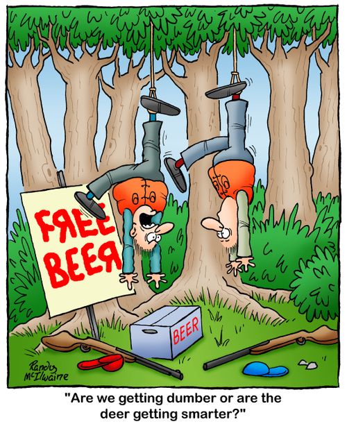 'Are we getting dumber or are the deer getting smarter?'
