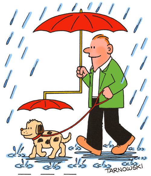 Umbrella with attachment for a dog.