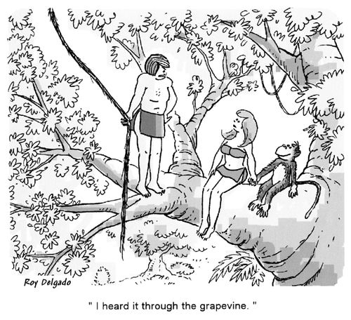 'I heard it through the grapevine.'