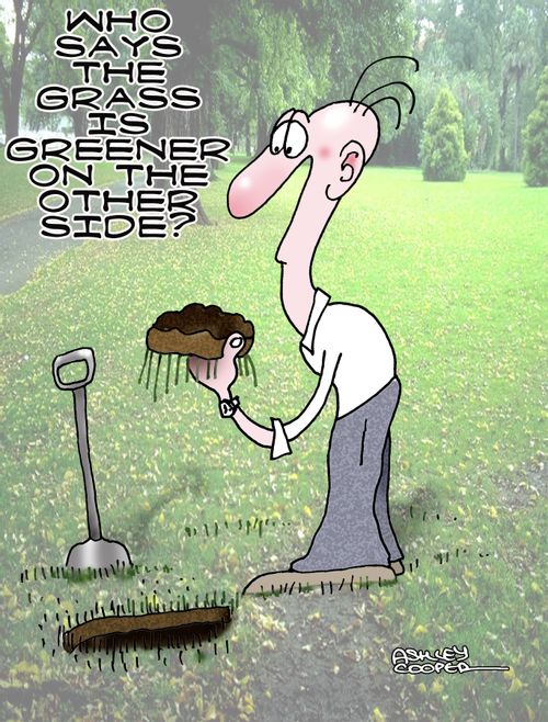 Grass isn't greener