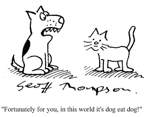 'Fortunately for you, in this world it's dog eat dog!'