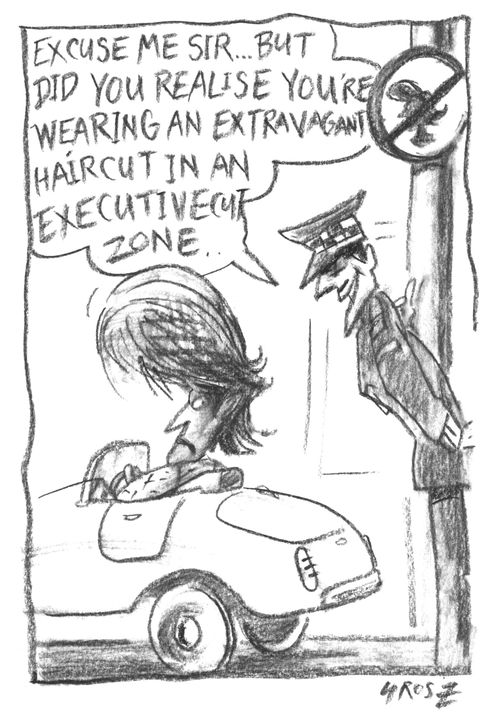 "Excuse me, do you realise you're wearing an extravagant cut in an executive cut zone?"