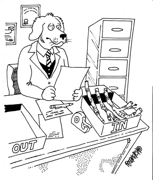 Dog's In Tray and Out Tray