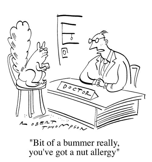 "Bit of a bummer really, you've got a nut allergy"