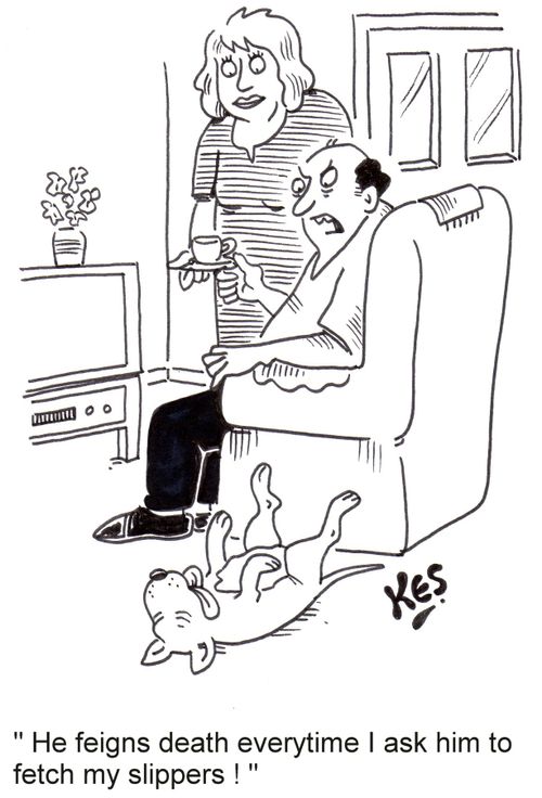 'He feigns death every time I ask him to fetch my slippers!'