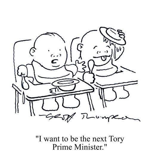 'I want to be the next Tory Prime Minister.'