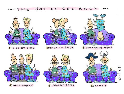 The Joy of Celibacy.
