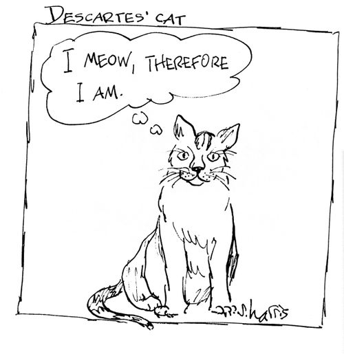 Descartes' Cat - I meow, therefore I am.