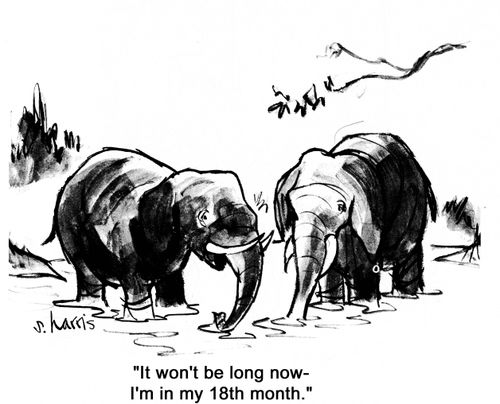 'It won't be long now - I'm in my 18th month.'