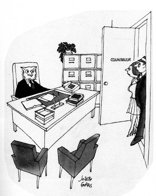 Counsellor is an owl.