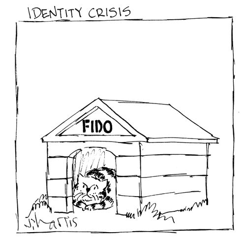 Identity Crisis - cat in dog kennel.