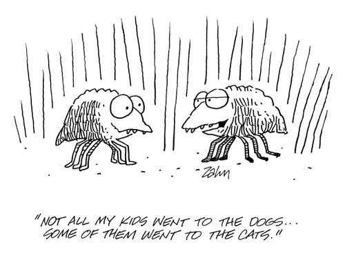 'Not all my kids went to the dogs...some of them went to the cats.'