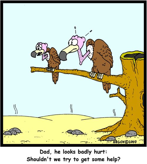 'Dad, he looks badly hurt: Shouldn't we try to get some help?'