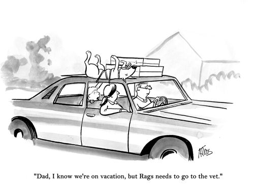 'Dad, I know we're on vacation, but Rags needs to go to the vet.'