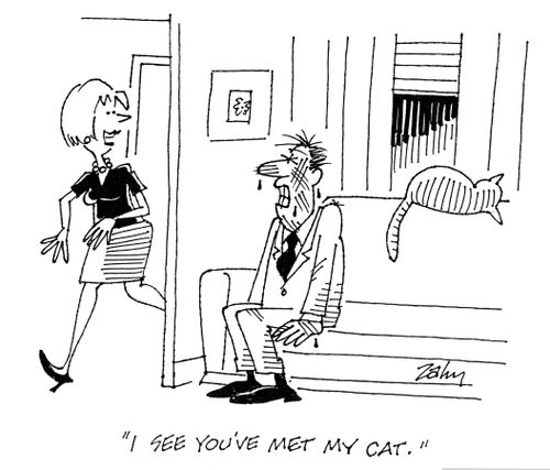 'I see you've met my cat.'