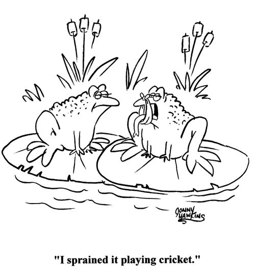 'I sprained it playing cricket.'