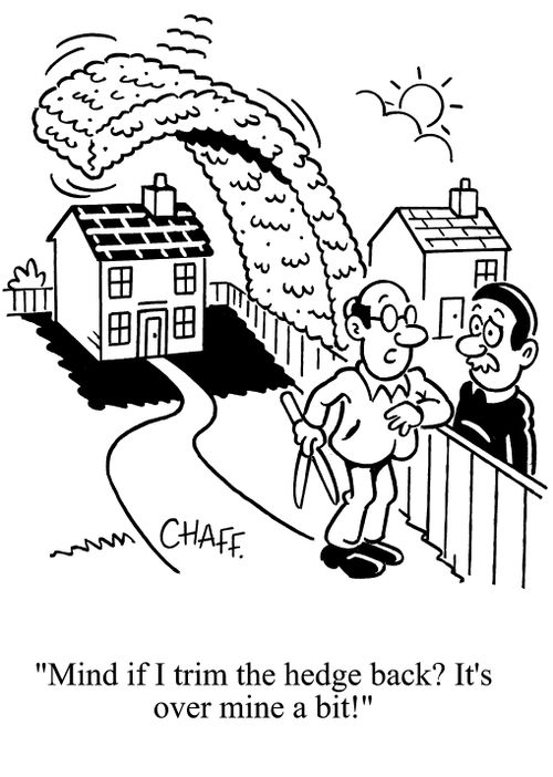 'Mind if I trim the hedge back? It's over mine a bit!'