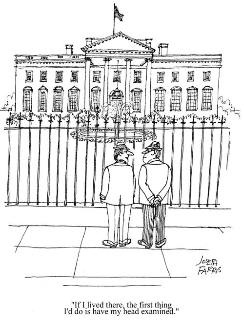 'If I lived there, the first thing I'd do is have my head examined.'