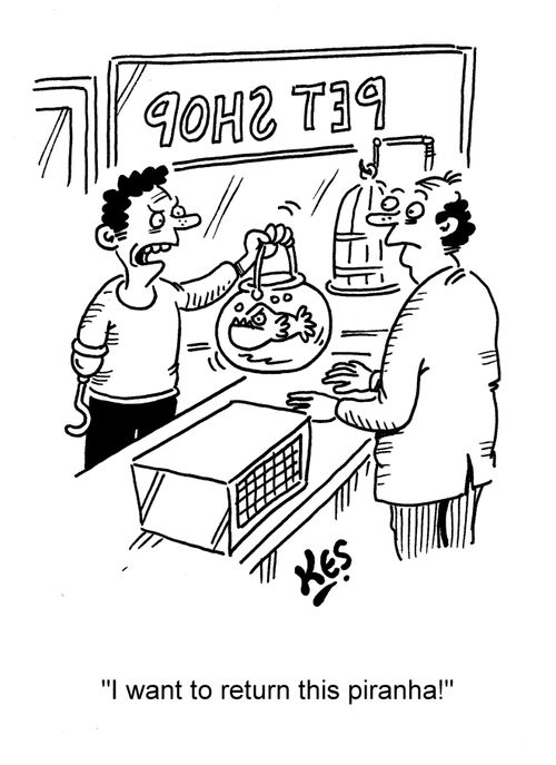 'I want to return this piranha!'