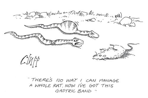 'There's no way I can manage a whole rat, now I have this gastric band.'