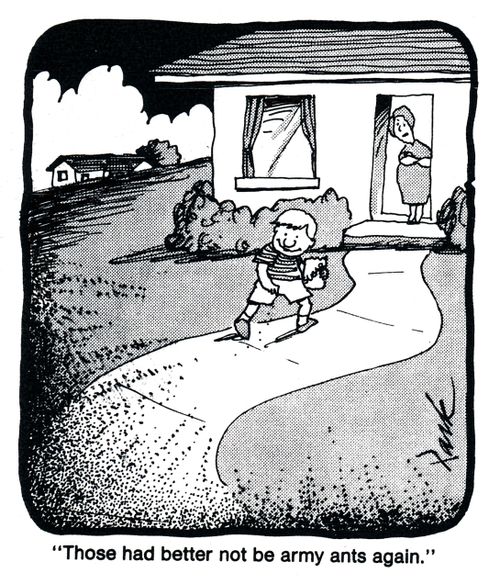 'Those had better not be army ants again.'