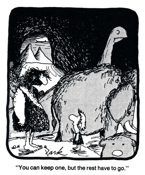 'You can keep one, but the rest have to go.'