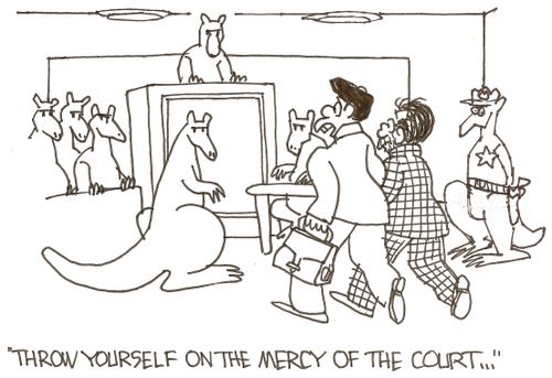 'Throw yourself on the mercy of the court...'