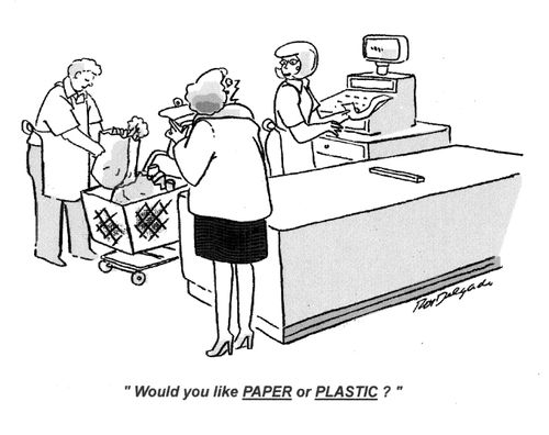 'Would you like Paper of Plastic?'