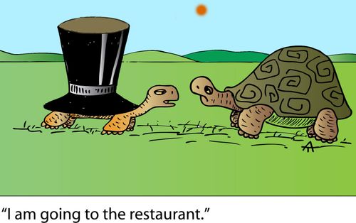 Tortoises: 'I'm going to the restaurant.'