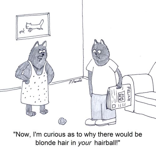 'Now, I'm curious as to why there would be blonde hair in your hairball!'