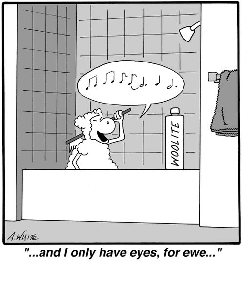 '...and I only have eyes, for ewe...'