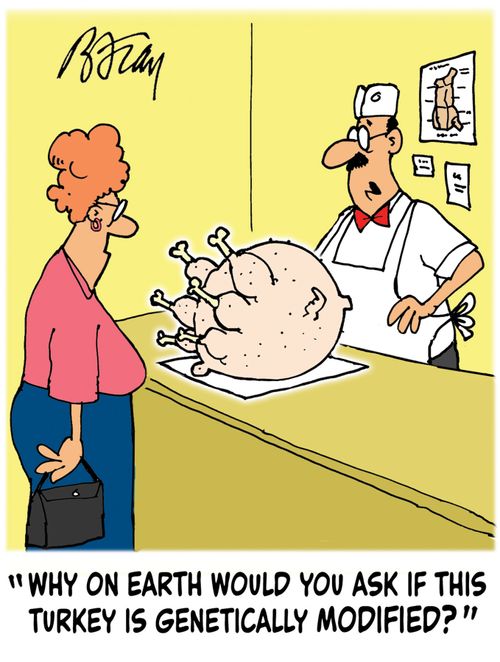 'Why on Earth would you ask if this turkey is genetically modified?'