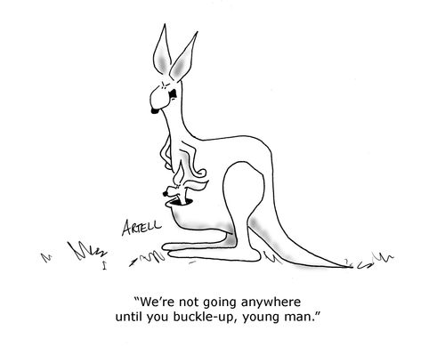 Kangaroo mom to child, 'We're not going anywhere until you buckle-up, young man.'