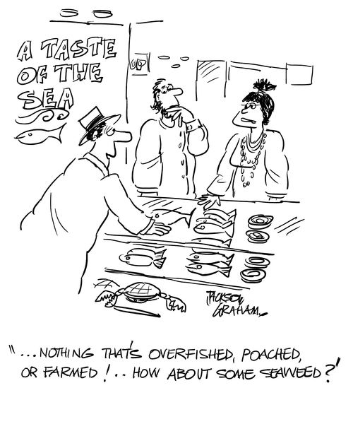 "Nothing that's overfished, poached or farmed? How about some seaweed?"