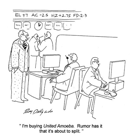 'I'm buying United Amoeba. Rumour has it that it's about to split.'