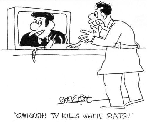 TV kills white rats!