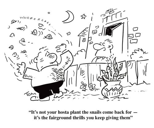 'It's not your hosta plant the snails come back for �' it's the fairground thrills you keep giving them'