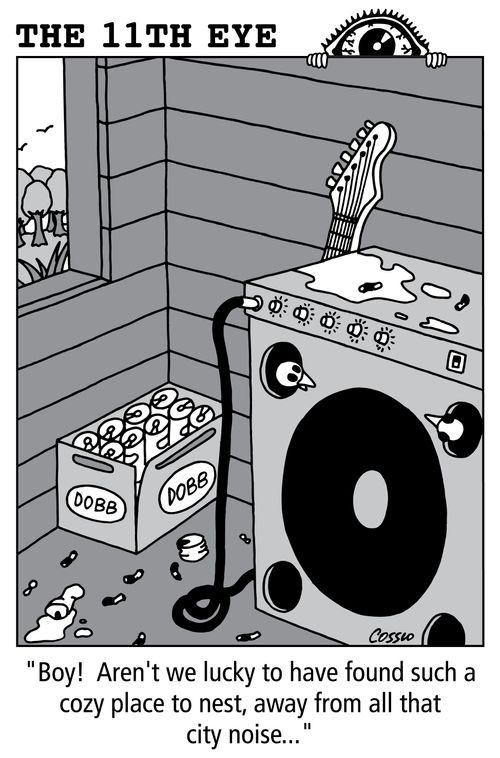 'Boy!  Aren't we lucky to have found such a cozy place to nest, away from all that city noise...'