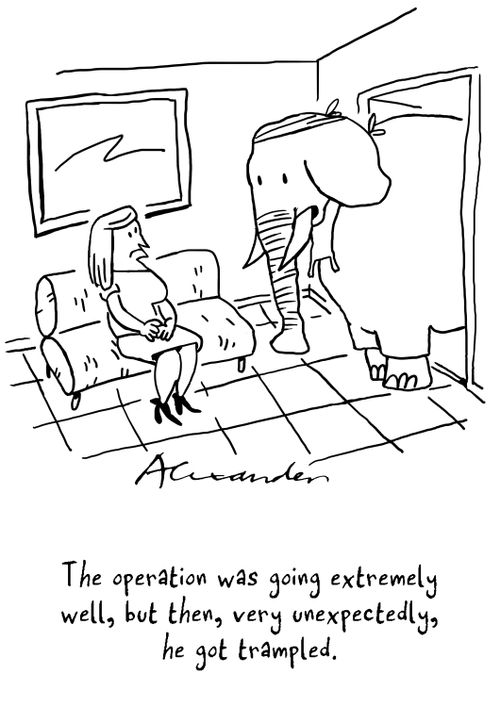 The operation was going extremely well, but then very unexpectedly, he got trampled.