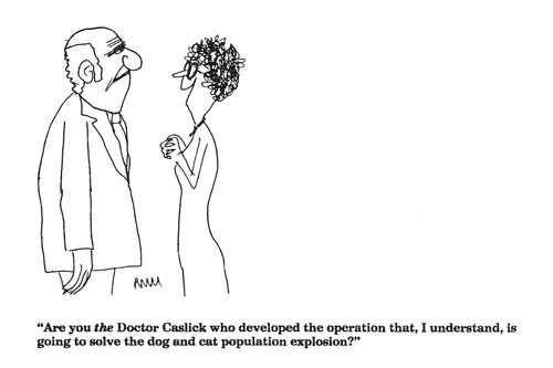 'Are you the Doctor Caslick who developed the operation to solve the dog and cat population explosion?"